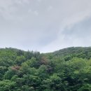 골짝못 네이버블로그