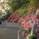 양평생활체육공원(테니스장) 이미지