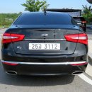 뉴성주카 이미지