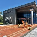 진주 충무공동 익룡ㆍ새ㆍ공룡발자국 화석산지 | [경남 진주] 진주 실내 아이랑 갈만한 곳｜익룡 발자국 전시관 솔직 후기