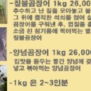 짚불집 이미지