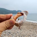 연동민박 이미지