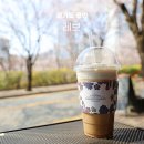 테라스 | 용인 벚꽃 명소 수지 정평천 벚꽃 카페 레브 야외 테라스 후기