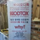 마르헤어 이미지