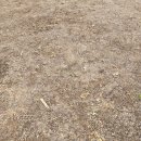 가조로타리 이미지