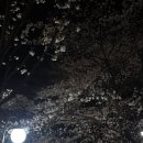 도당동 제1호 주차장 네이버블로그