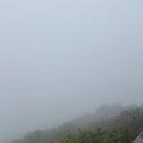 광장카부분정비 | [구이양 여행] 구이저우 범정산(판징산) 등산 당일치기, 무릉도원에서 고산병 온 썰