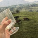 민철목장 이미지