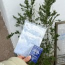[부산여행] 1일차 | 본전돼지국밥 영도 흰여울문화마을 포토존 태종대 핫플레이스 버거인뉴욕