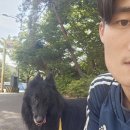 오케이펫미트 이미지