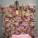 펫존&견생컷 이미지