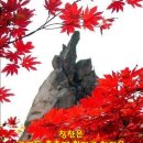 사계절이 있는화순곶자왈 탐방길 에서 노루 를만났다/가을길 이미지