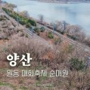 매화 어린이집 | 2025 양산 원동매화축제 순매원 개화시기 주차장 셔틀버스