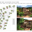 라센트라 이미지