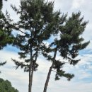 한섬감성바닷길 이미지