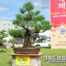 청목 경북도민일보