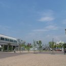 야생화단지내 이미지