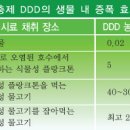 제109호-예배드리는 시간, 박수치며 몸을 흔들어도 될까요? 이미지