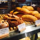 카페인cafein 이미지
