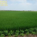 숙성4리마을회관 이미지