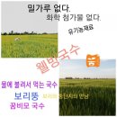 보리랑국수 이미지