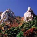 28산우회 9월명산탐방 (서울 북한산국립공원.836m) 이미지