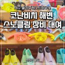 월정리월정뷰게스트하우스 | 제주 코난비치 해변 스노클링 장비 김녕 월정리 스노쿨링 파라솔 대여 샤워장 추천 월정뷰게스트하우스