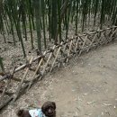 울산 태화동 반려견 셀프 목욕탕 | 댕댕도원