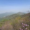 춘산 - 중구 | 춘산