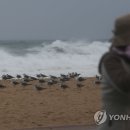 경포17호