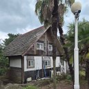 중문그린힐통나무펜션 | 제주 가볼 만한 곳 제주 여행 코스 도치돌알파카목장