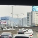 호남고속철도광주차량기지 | [EP183/프리패스-4] 금호고속 (유성복합 - 부산) 우등버스 탑승기 (260210)