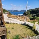 라라애견펜션 이미지