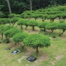 한성탑행정사 합동사무소 이미지