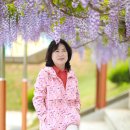 합도초교 이미지