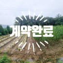 옥천랜드공인중개사사무소 이미지