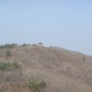 장수방화동가족휴가촌자동차야영장 이미지