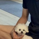 빽다방전남광양덕례점