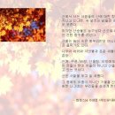 수원시청 이미지