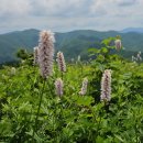 어르신돌봄센터 이미지