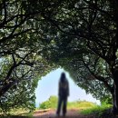 하양적벽돌 | [제주 혼여] 1일차 (1) 이호테우해수욕장 - 도두봉 - 무지개해안도로 | 제주공항 주변 가볼만한 곳