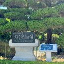 대학교 익산캠퍼스 | 익산여행/익산여행지추천/6월 /원광대학교자연식물원 방문 후기/산책로 데이트코스 추천