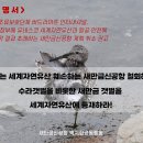 [성명서] 국제조류보호단체 버드라이프 인터내셔널, 한국 정부에 새만금신공항 취소 권고 서한 발송 이미지