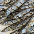 댕스밥상 이미지