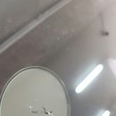 태풍카센타 이미지