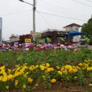 신야드로갤러리카페 이미지