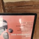 양지바른정비마당 | 경주 최부자댁 #경주여행 한옥의 아름다움과 산책하기 좋은 곳