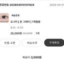 개이쁨 | [렌시스] 도니아 문그레이 축고정렌즈 내돈내산 후기