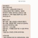 홍화루반점 | 2026 수원삼성 홈경기 💙🤍❤️ 하이 터치 후기