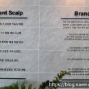 탑스칼프 김포점 네이버블로그